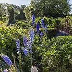 Le Domaine D'ablon - Small Luxury Of The World 5* Ablon