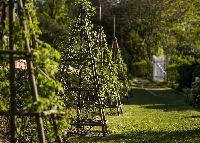 Hotel Le Domaine D'ablon - Small Luxury Of The World 5*