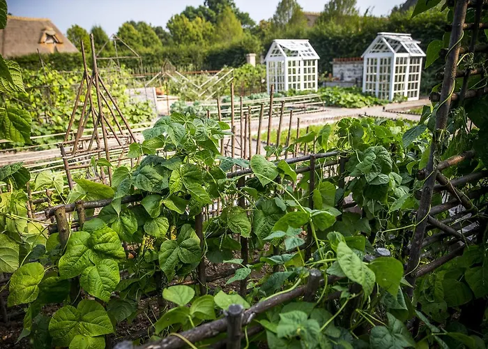 Hotel Le Domaine D'ablon - Small Luxury Of The World 5*