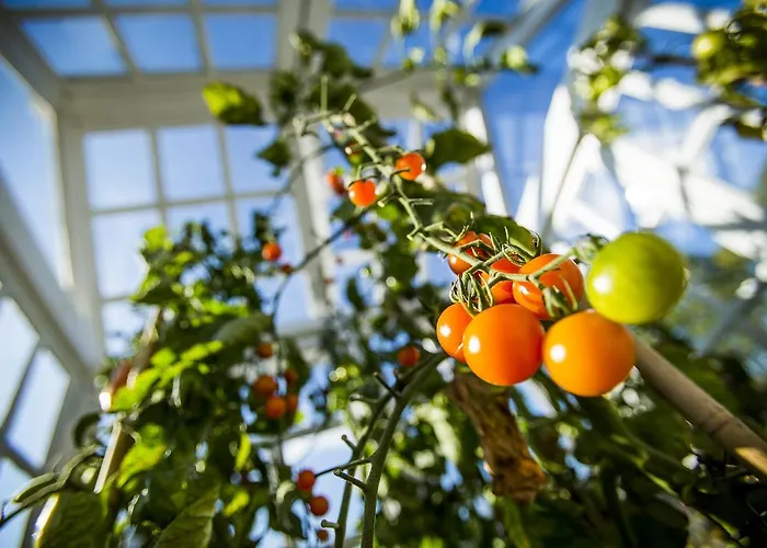 Le Domaine D'ablon - Small Luxury Of The World 5* Ablon